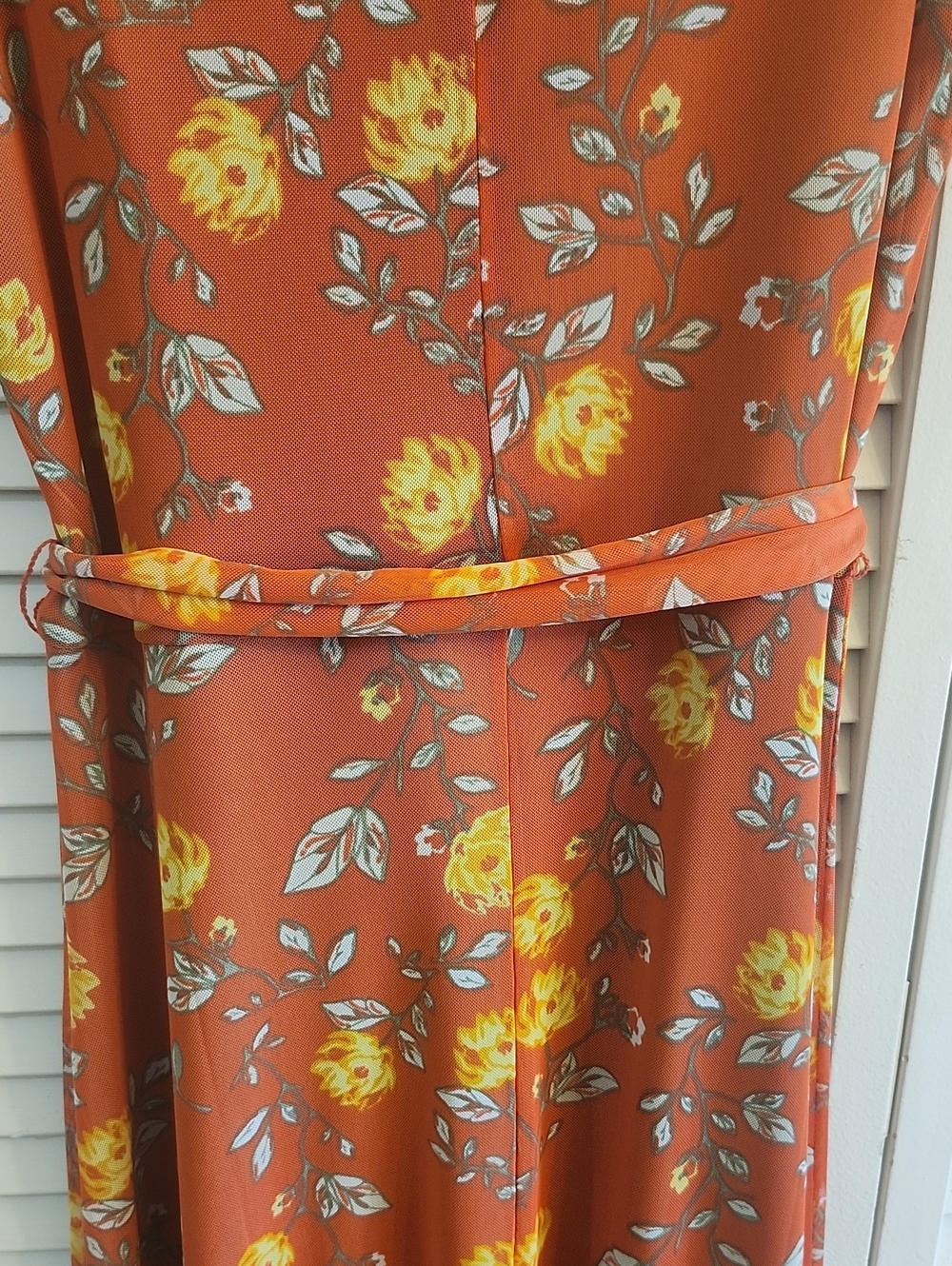 Sleeveless Rust Floral Maxi Dress with Tie Waist - Picture 9 of 10